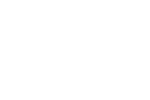 Text graphic displaying the words "MIAMI LIVING."