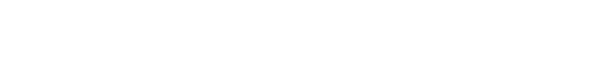 Text graphic reading "THE EXPERIENCE" on a black background.