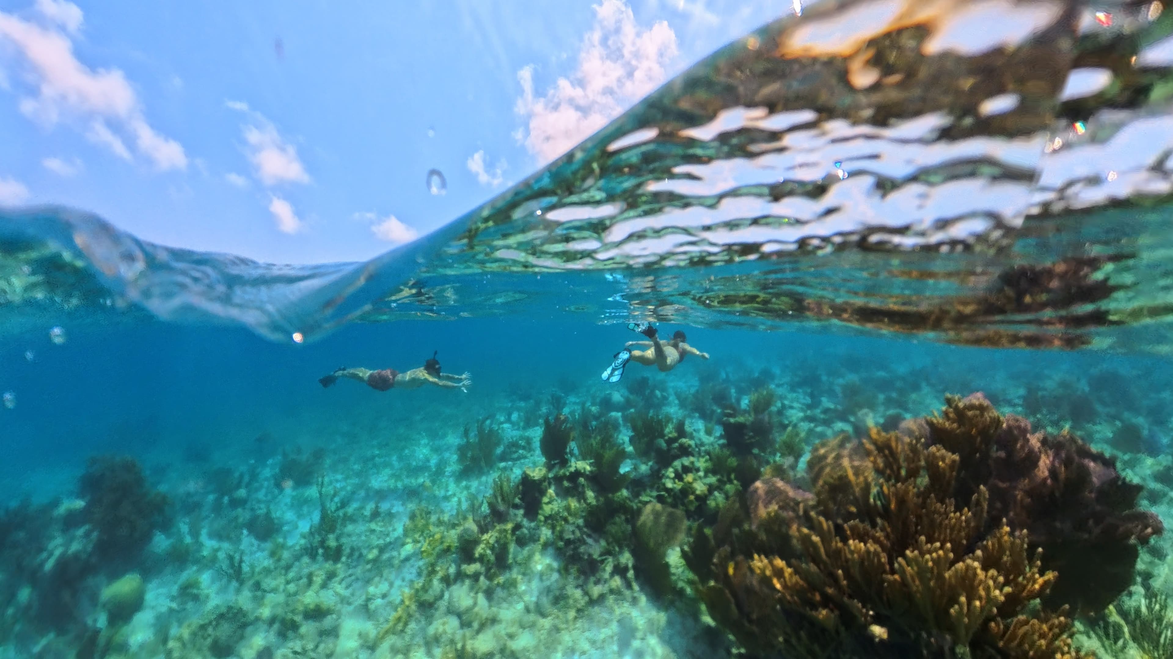 Two snorkelers swim beneath a clear, shallow ocean surface over coral formations.