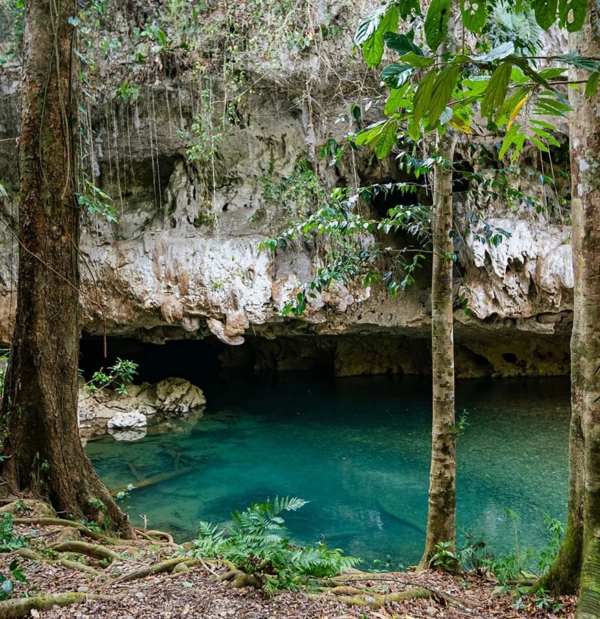 A serene cave entrance beside a crystal-clear pool, surrounded by lush greenery.