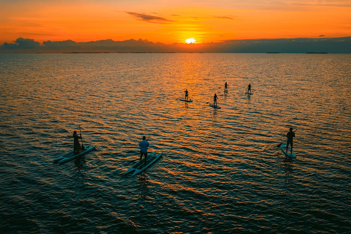 Silhouettes of people on paddleboards against a vibrant sunset over the water.