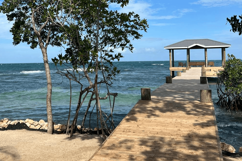 A wooden pier extends into a turquoise sea, flanked by trees under a blue sky.