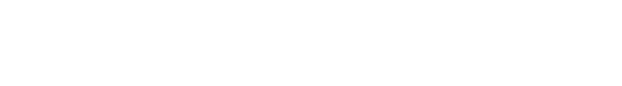 Text graphic reading "Meet the Team."