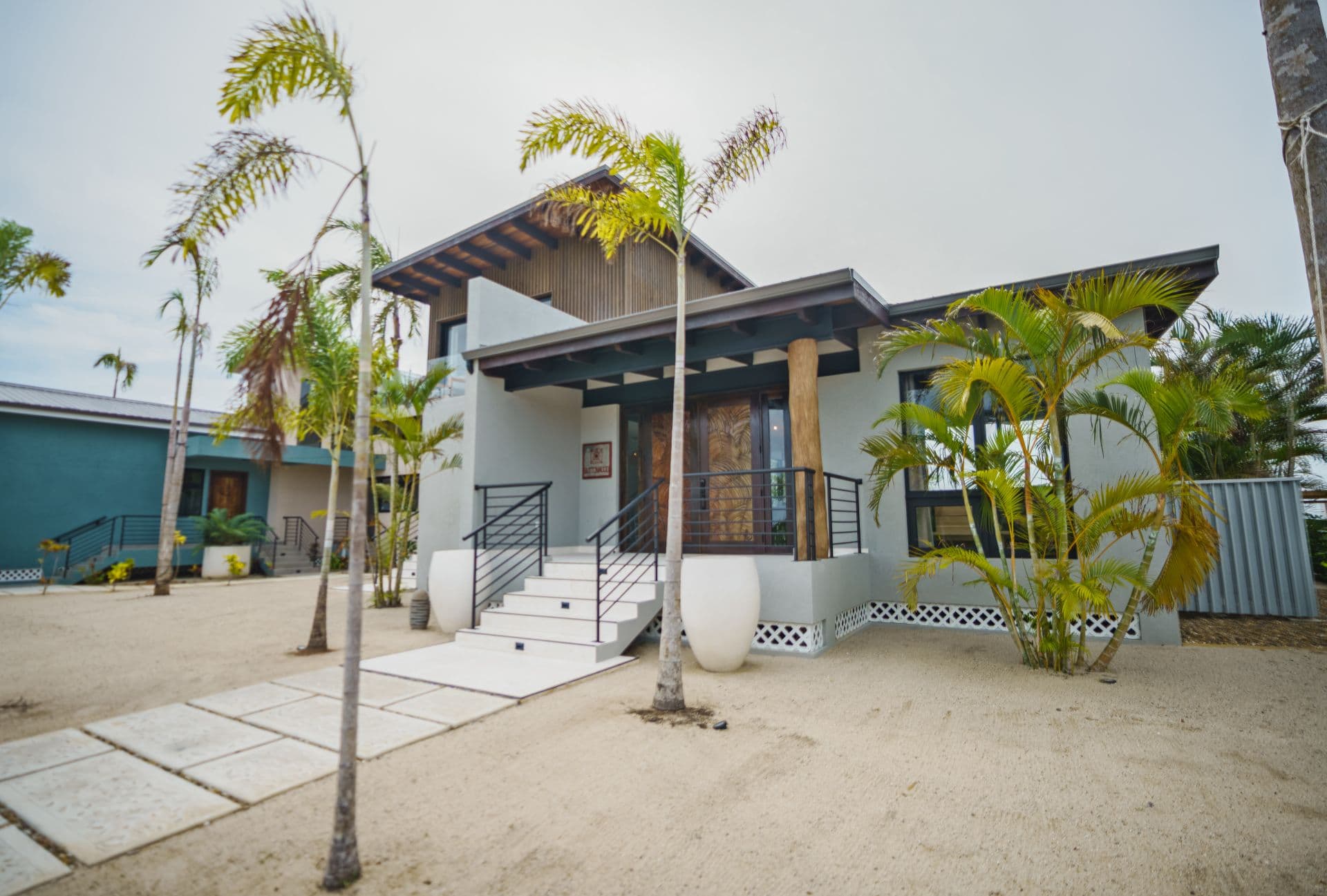 A modern house with a palm-lined entrance and steps leading to a wooden door.