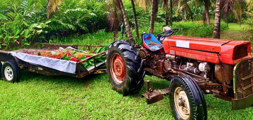 A red tractor with a trailer of harvested produce parked on a farm at Mennonite Farm near Prana Maya Island Resort.