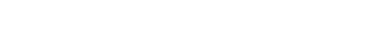 Text graphic displaying "YOUR WEDDING EXPERIENCE."