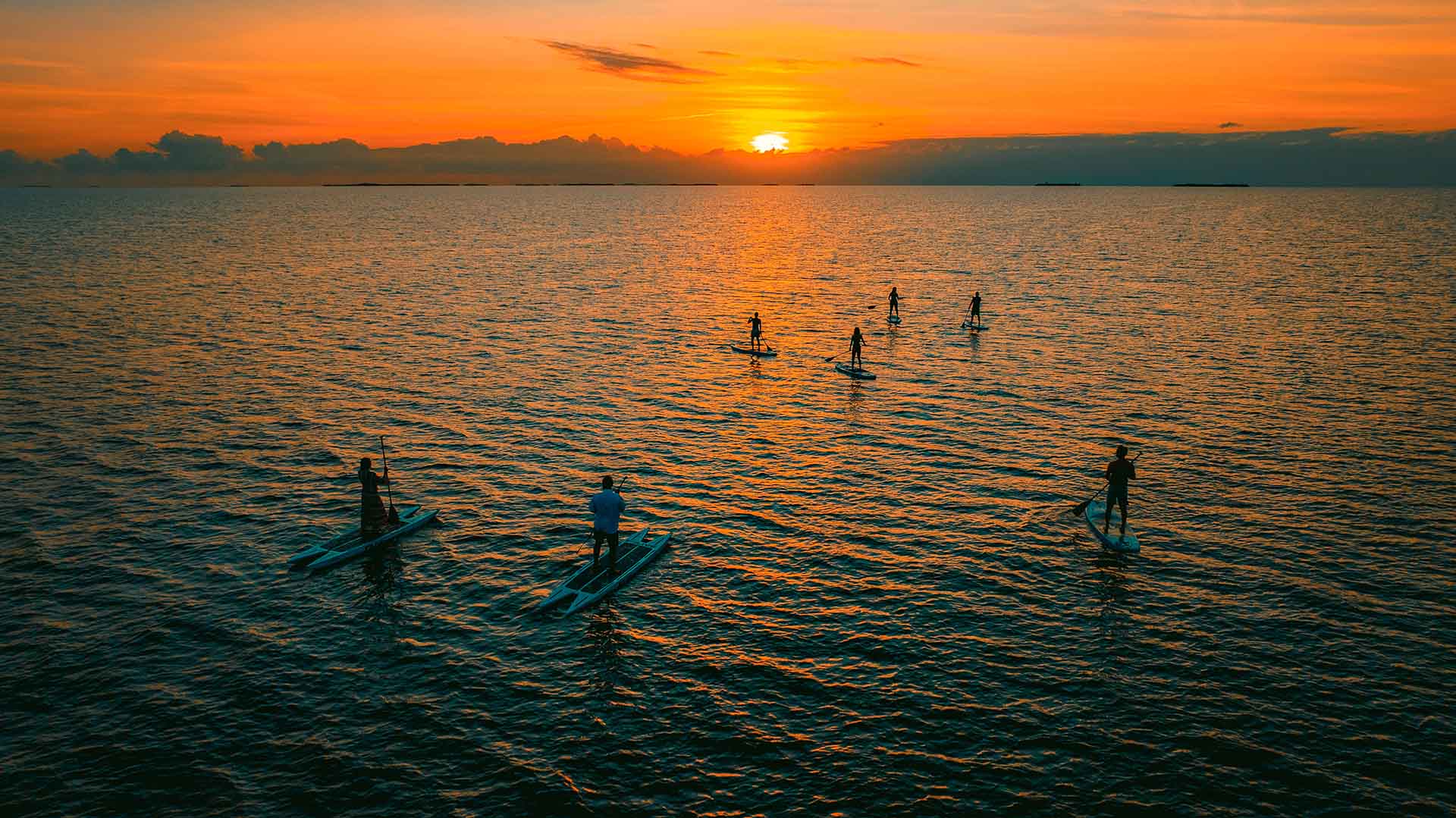 Silhouettes of people paddleboarding on calm waters during a vibrant sunset.