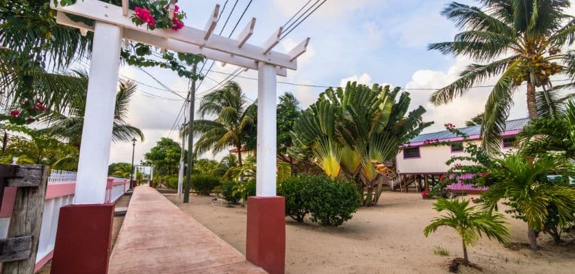 Palm lined sidewalk through Placencia Village with colorful tropical homes and lush landscaping.